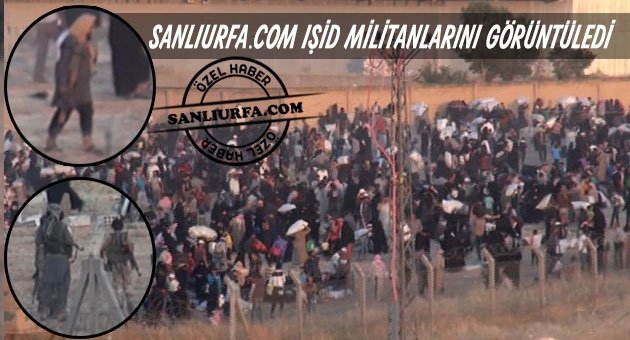 flash flash flash....IŞİD militanları Elini kolunu sallayarak Akçakale sınırında bekleyenleri boşalttı