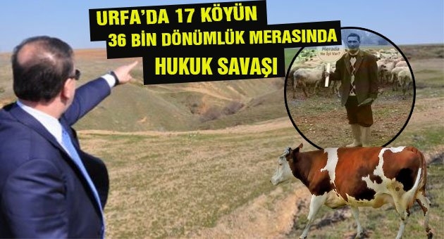 Taşocağı Ruhsatı Verildi Konut Yapılacak İddiası