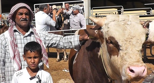 Urfa Şampiyonu satıldı