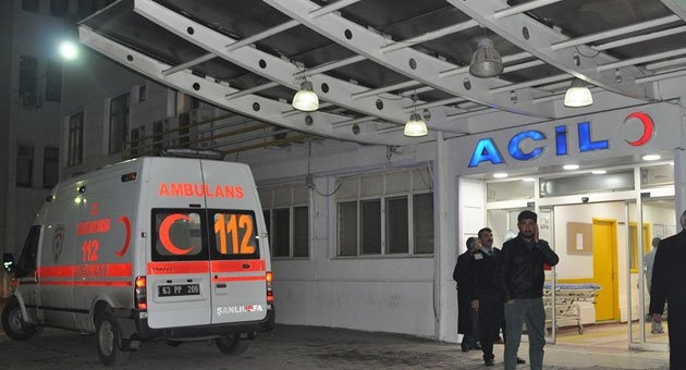 Urfa?da 1 Domuz Gribi Şüphesi Daha