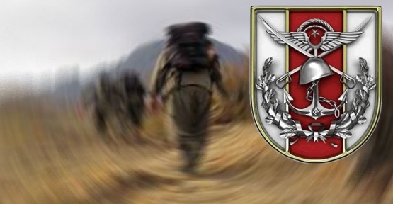 Ceylanpınar`da 3 PKK?lı Yakalandı