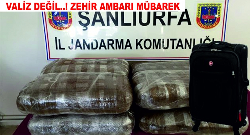 Urfa?da Yolcu Valizinden Bakın Ne Çıktı?