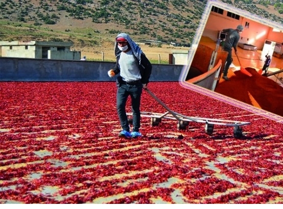 Urfa`nın Acısı 91 Ülkeyi Yaktı!